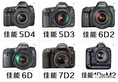 超强佳能5D 6D系列相机攻略,小白入门选它绝对错不了